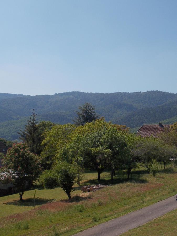 Maison De Vacances "Le Longchamp" Villa Osenbach Dış mekan fotoğraf